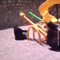 Des nonnes jouent et l'une d'entre elles tombe