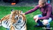 Justin Bieber crée la polémique en posant avec un tigre