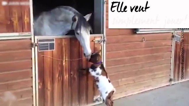 En amitié, tout le monde peut trouver chaussure à son pied !