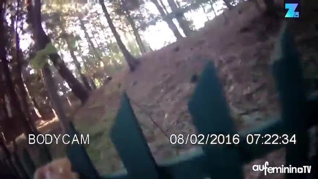 Un policier américain sauve... un faon !