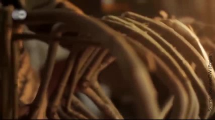 Des meubles qui poussent sur les arbres