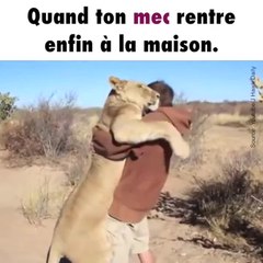 Un câlin entre un lion et son dresseur