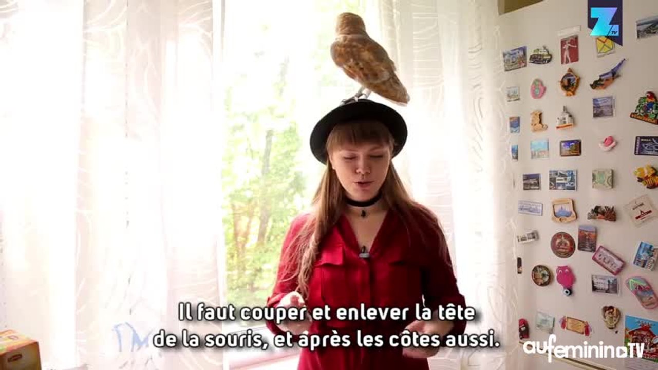 Qui veut adopter une chouette comme Harry Potter