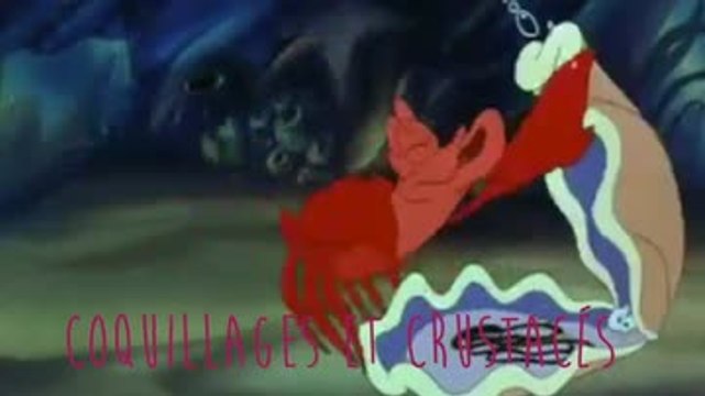 Aliments riches en protéines