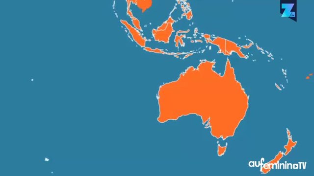 Johnny Depp et Amber Heard s’excusent pour leurs chiens