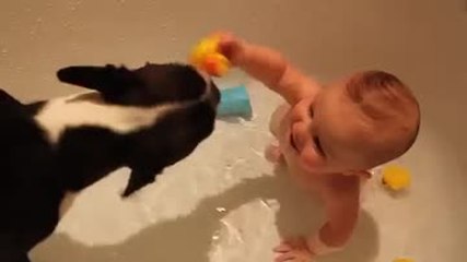 Un chien et un bébé jouent dans le bain