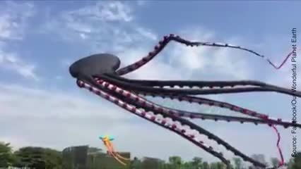 On ferait fureur avec un cerf-volant comme ça !