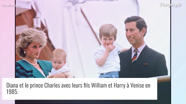 Le prince Harry enfin arrivé en Angleterre : pour les retrouvailles avec William, il va falloir attendre