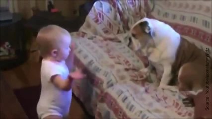 Un bébé parle avec un chien