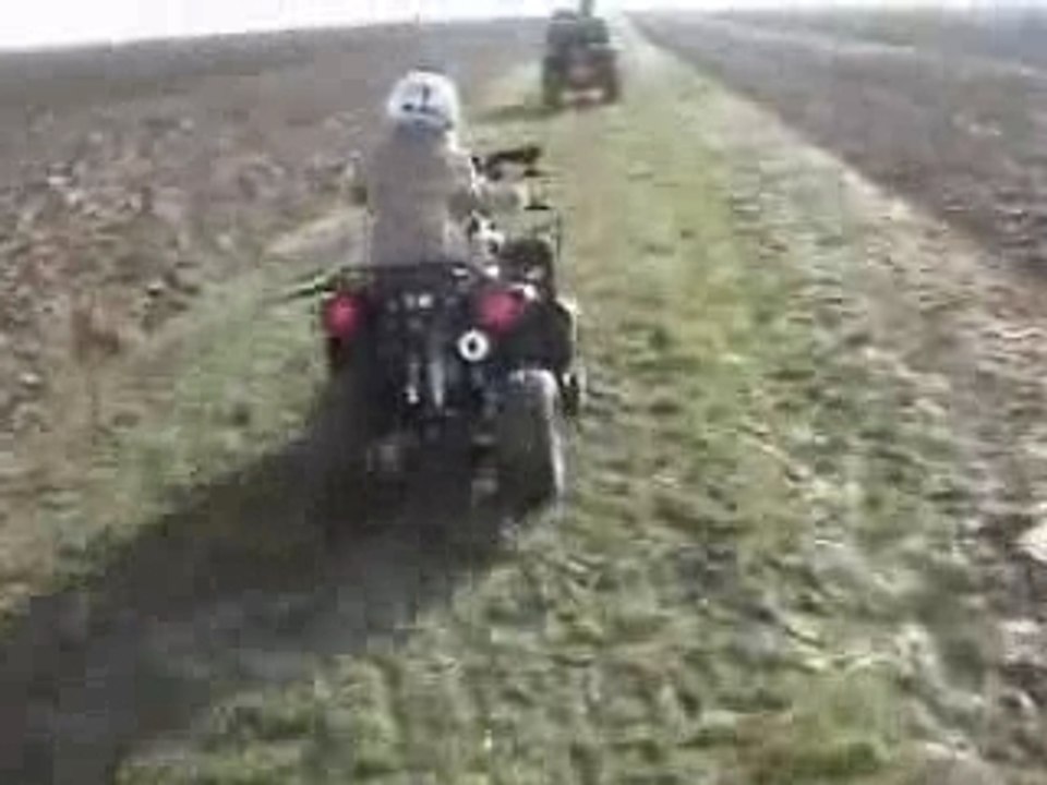 Quad agathe