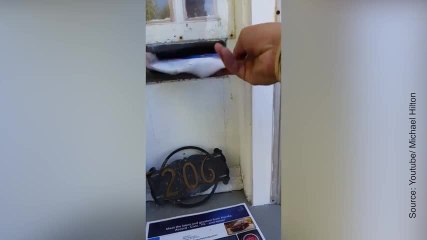 Ce chat monte la garde comme un chef