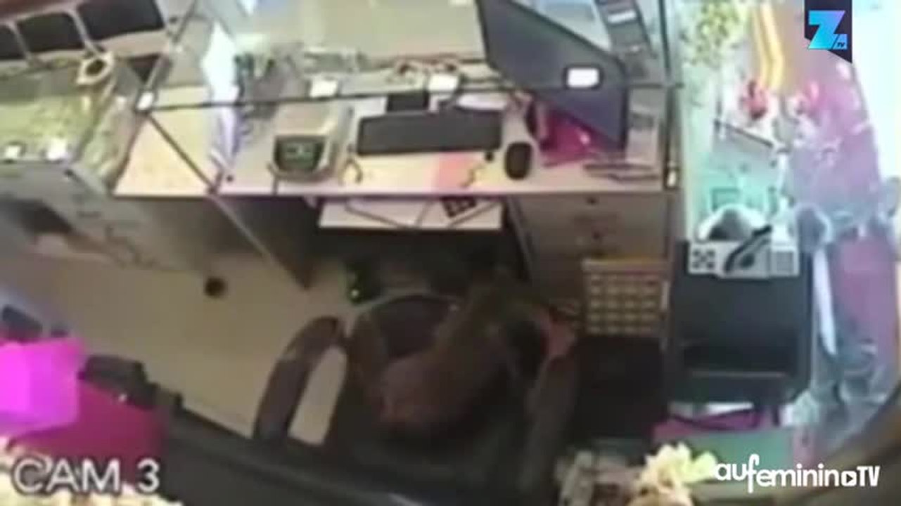 Insolite : un singe voleur de billets !