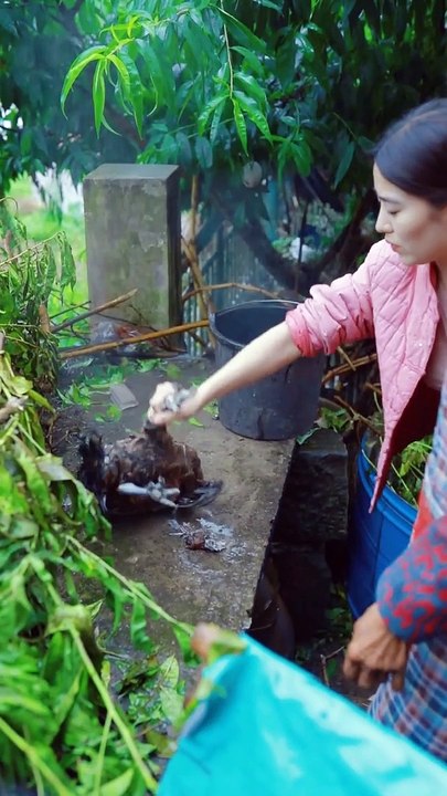 6_8351_大山里的斑鳩_上山挖了点新鲜竹笋给外公外婆烧鸡公，山笋配土鸡，味道简直不摆了 #记录我的农村生活 #美食