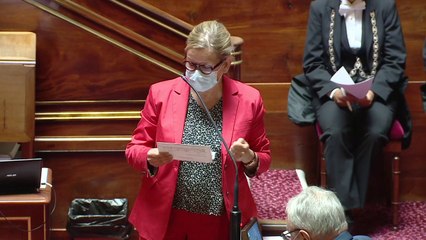 Le Sénat supprime le délit d'écocide : une mesure de "simplification"