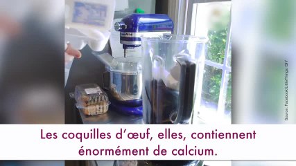 Download Video: Transformez vos restes alimentaires en engrais !