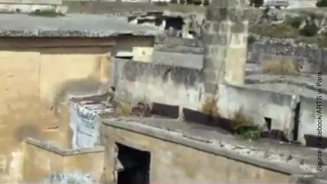 Ces peintures de rue sont géniales !