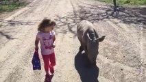 Le meilleur ami de cette petite fille est... un rhinocéros !