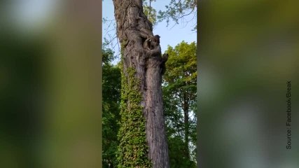 "Allez, on rentre à la maison !"