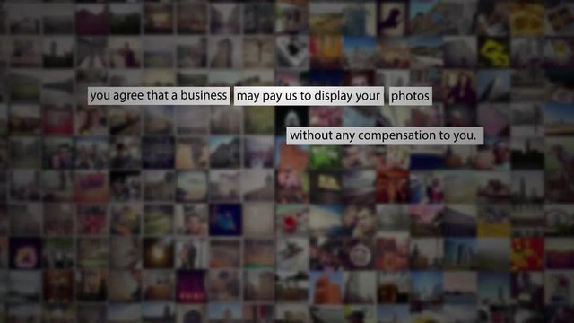 Extrait Les nouveaux loups du web : les termes d'utilisation