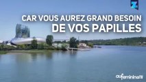 La Cité du Vin, un parc à consommer sans modération