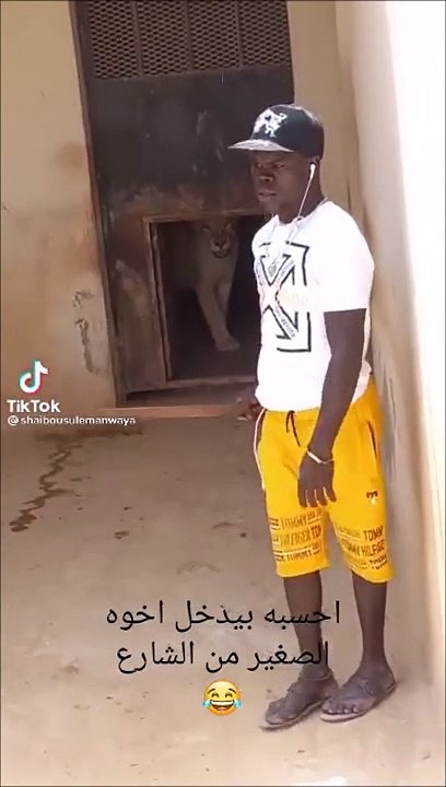 Mais que dresse-t-il??? Moutons... Non