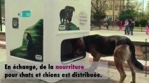 Une invention qui va révolutionner la vie des animaux abandonnés...