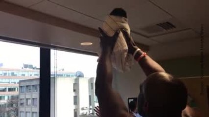 Cette scène ressemble étrangement au Roi Lion !