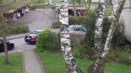 Un écureuil attachant