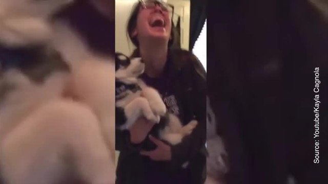 Les bruits que fait ce chiot sont adorables !