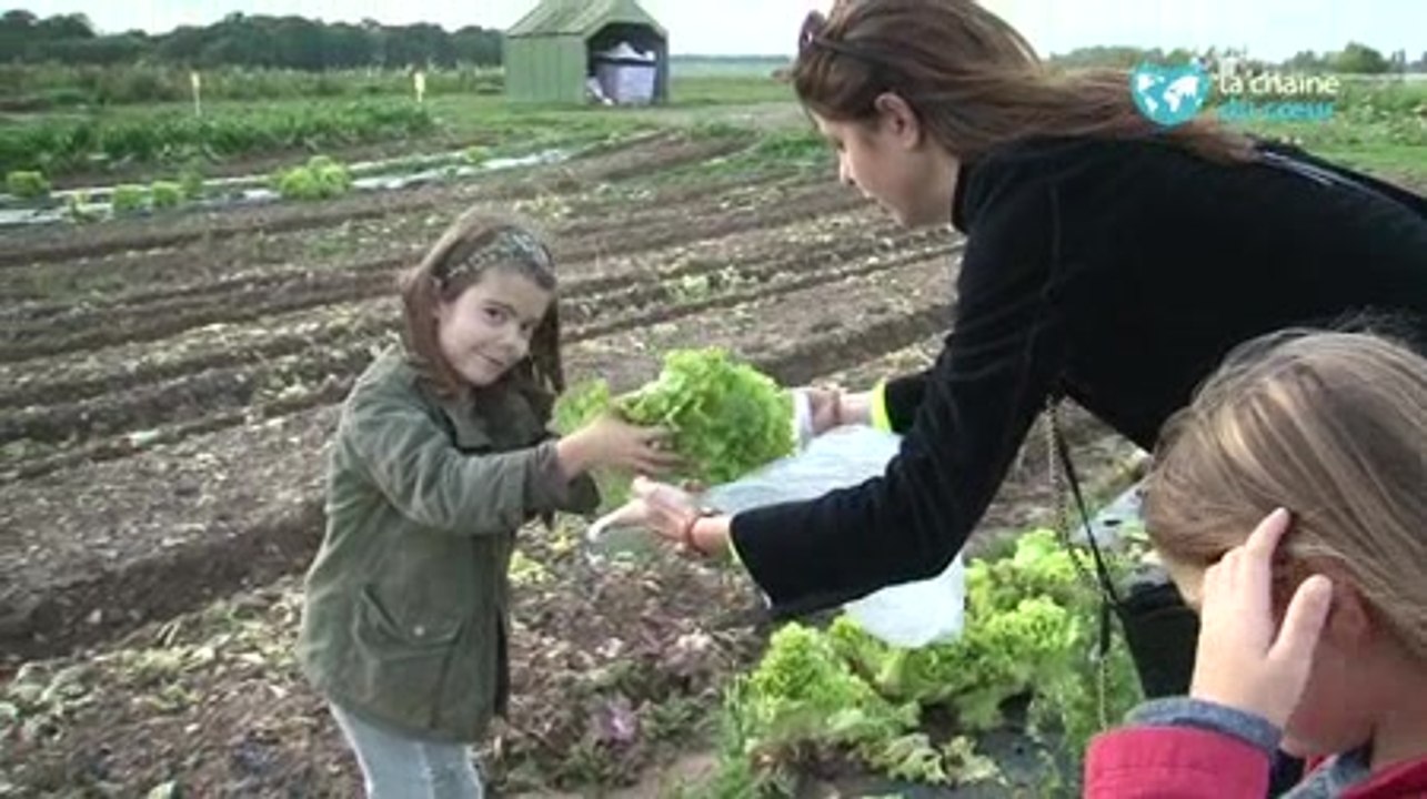 La Ferme du Logis : cueillez vous-même vos fruits et légumes !
