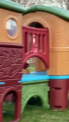 Escaped Rooster Chases a Boy During Birthday Party
