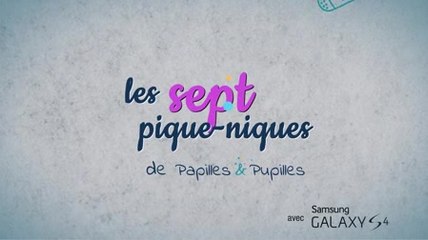 Samsung Galaxy S4 7 Pique Niques Pasteque