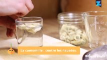 Remèdes naturels : les astuces pour chasser la gastro !