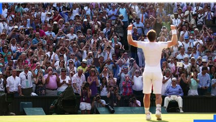 Everything you need to know about Wimbledon