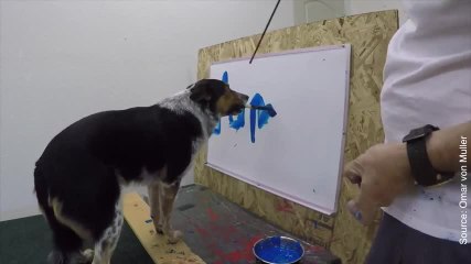 Download Video: Ce chien est un véritable artiste !