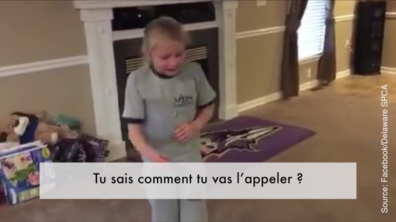 Regardez comme cette petite fille est heureuse d'avoir un chien !