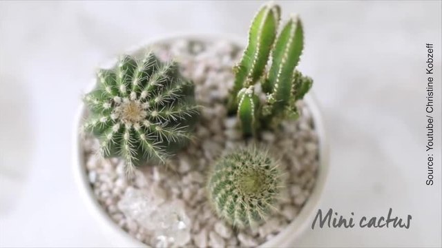 Quelques idées pour décorer vos pots de fleurs !