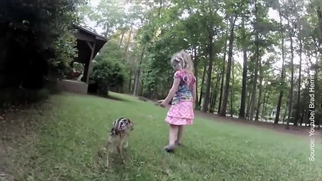 Coup de foudre au premier regard pour cette petite fille et ce faon