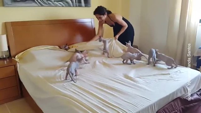 Elle n'arrivera jamais à faire son lit, et la raison est très drôle !