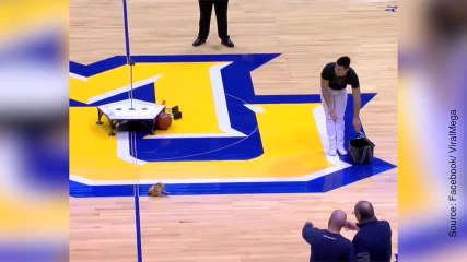 Et si la star du spectacle n'était pas celle que l'on pensait