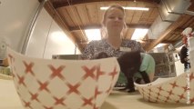 Le paradis des chatons : Ce centre s’occupe des chatons orphelins