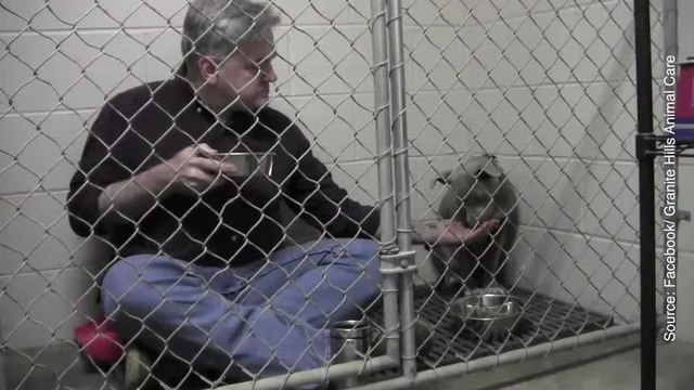 Ce que ce vétérinaire fait pour ce chien est très émouvant