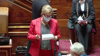 Suppression du délit d'écocide : "une œuvre de simplification" pour Marta de Cidrac