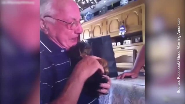 Il a perdu sa femme et son chien en même temps. Cette surprise va le f