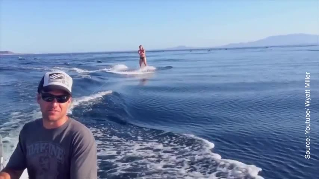 Cette femme a de drôles de compagnons de ski nautique