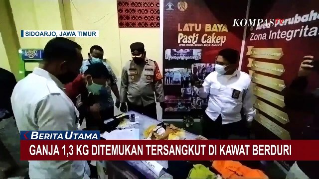 Paket Ganja Tersangkut di Kawat Berduri, Penyelundupan Narkoba ke Lapas Berhasil Digagalkan!