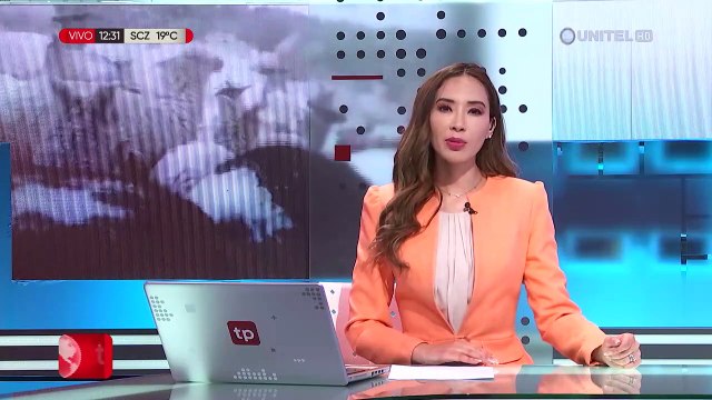 Cultivos congelados y animales afectados en Potosí debido a las bajas temperaturas