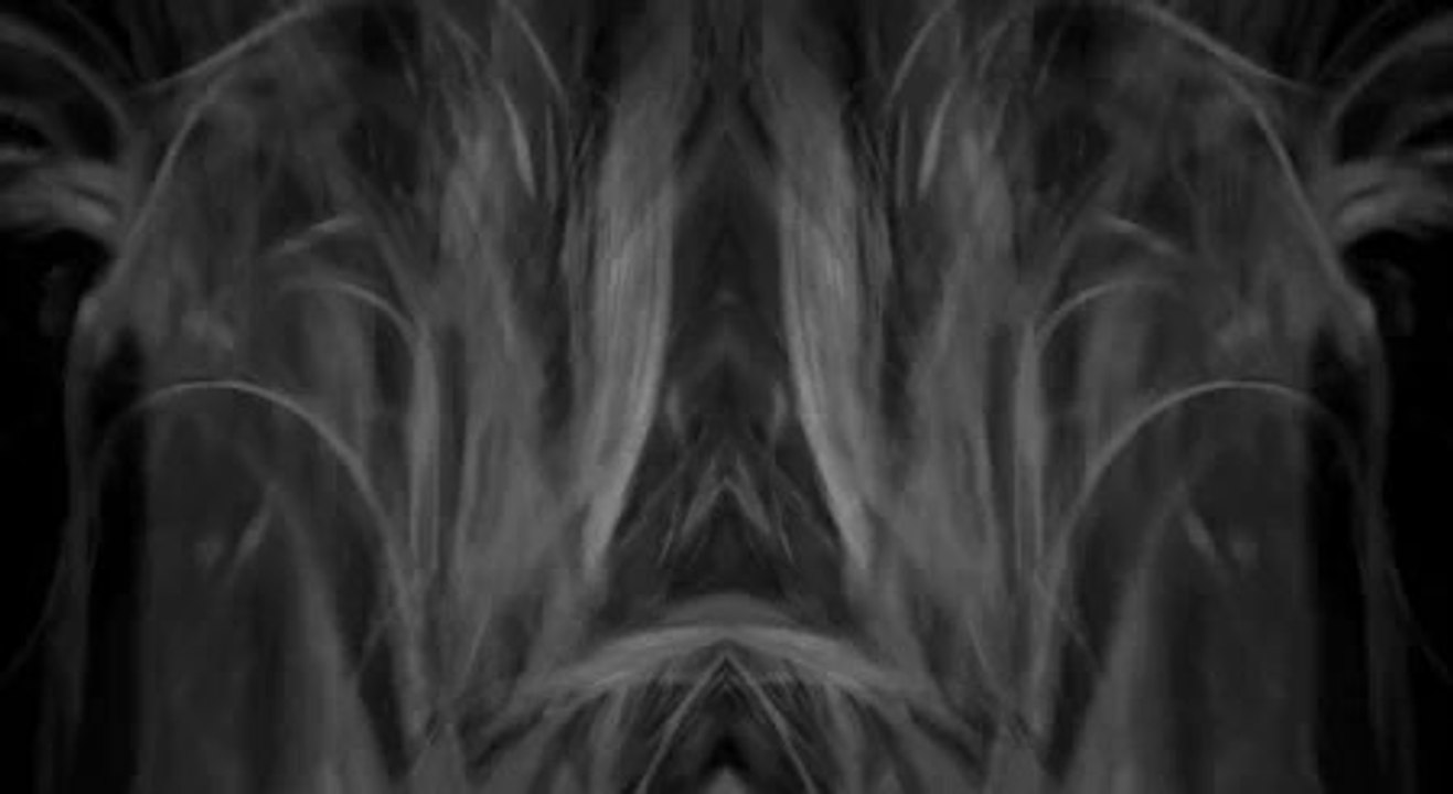 Défilé Charlie Le Mindu Automne-Hiver 2014/2015