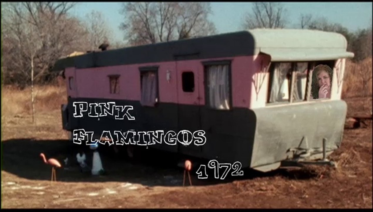 Midnight in the Back Row Ep 9: Pink Flamingos (1972) - video Dailymotion