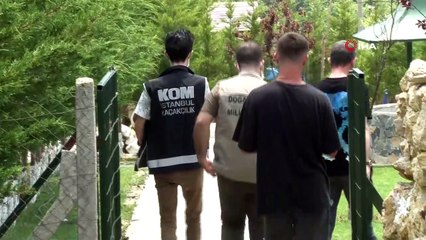 Silivri’de dev çiftlikte nesli tükenmekte olan hayvan baskını